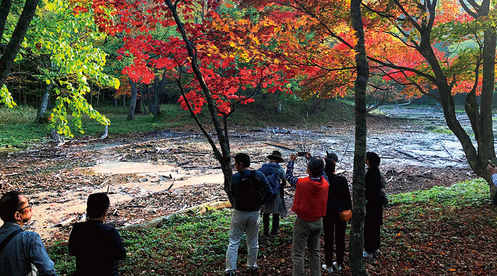 湖畔と癒やしの森をぶらぶら歩き 不思議の森へご招待