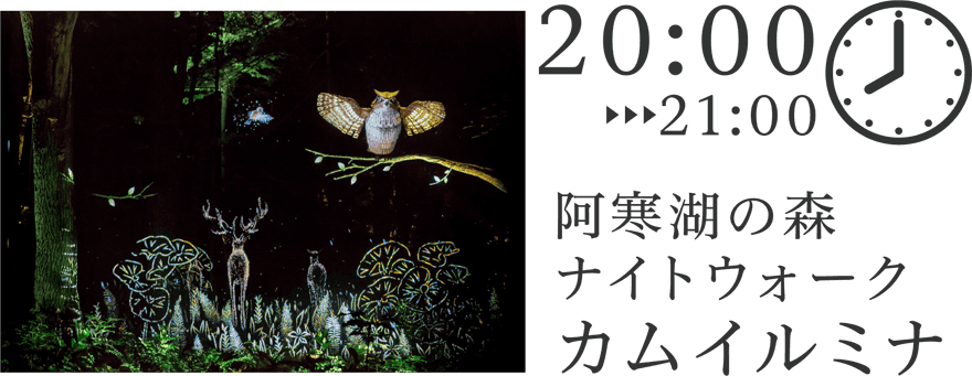 阿寒湖の森ナイトウォーク カムイルミナ