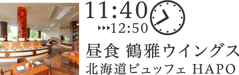 昼食 鶴雅ウイングス 北海道ビュッフェ HAPO